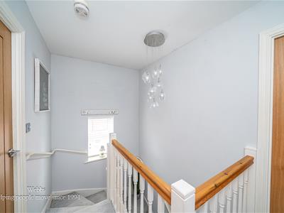 Picture 24